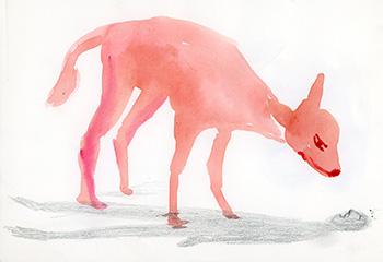 il·lustració de Natividad Ayala