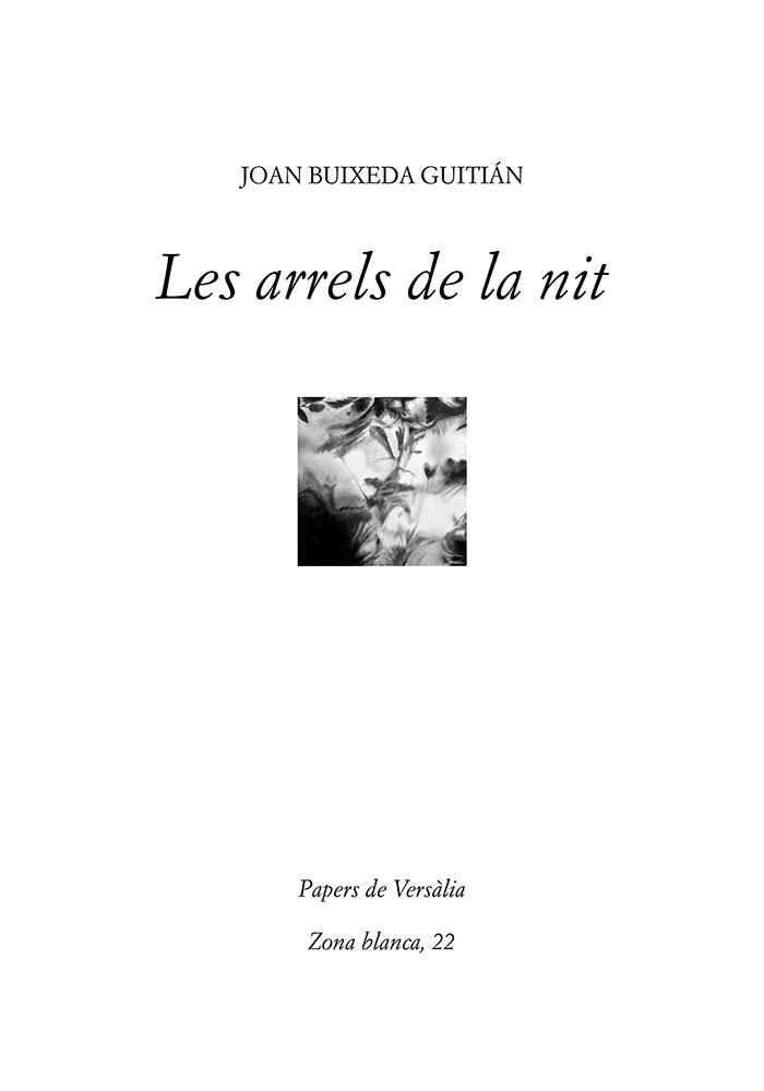 «Les arrels de la nit» de Joan Buixeda, portada.